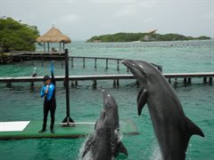 Isla del Rosario - Oceanario Dolphin 001.JPG