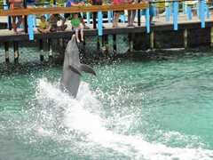 Isla del Rosario - Oceanario Dolphin 002.JPG