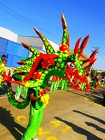 Barranquilla Carnaval 119