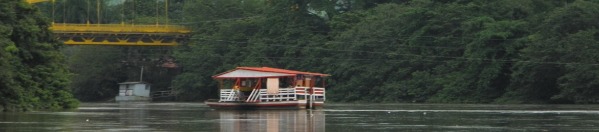 a planton on the river Sinu in Monteria Colombia