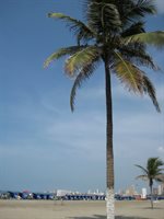 Cartagena - Boca Grande 25