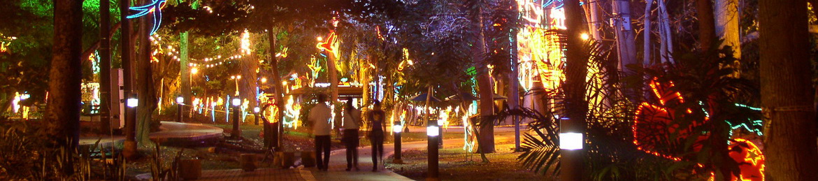 la avenida Premera in Monteria with the christmas lights of 2010